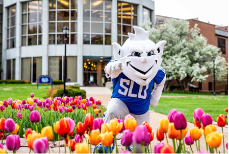 Billiken Among Flowers SLU Billiken mascot leaning forward and pointing surrounded by tulips