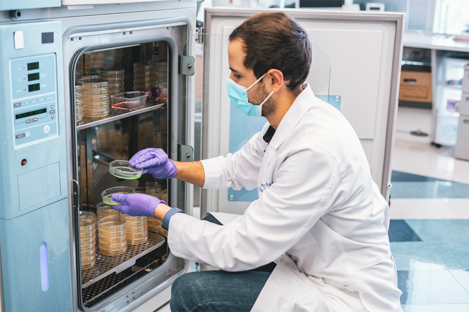 Student grabbing samples out of storage safe A lab worker removes samples from a storage safe