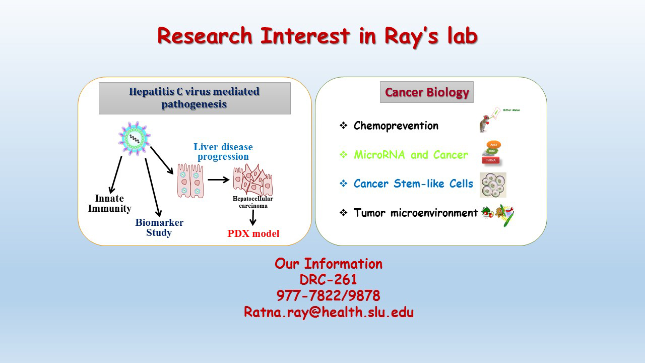 Ray Ratina's Lab Interests Ray Ratina's Lab Interests