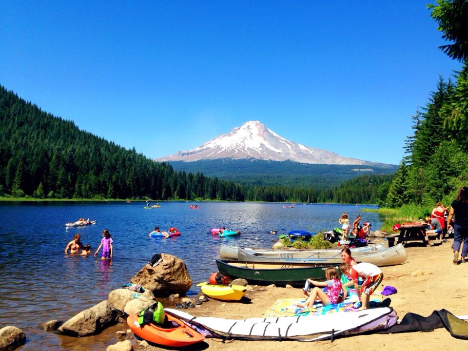 Landscape Winner Landscape Winner