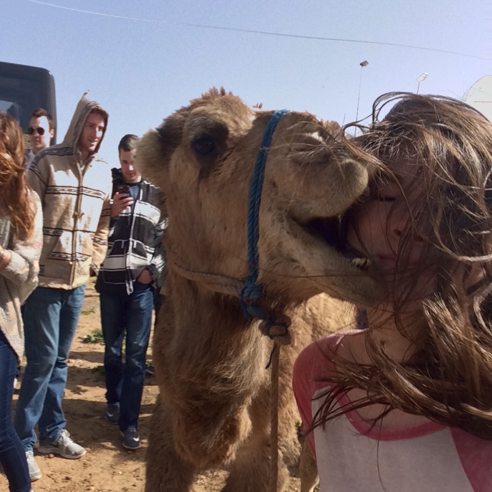 Wildcard Winner Wildcard Winner