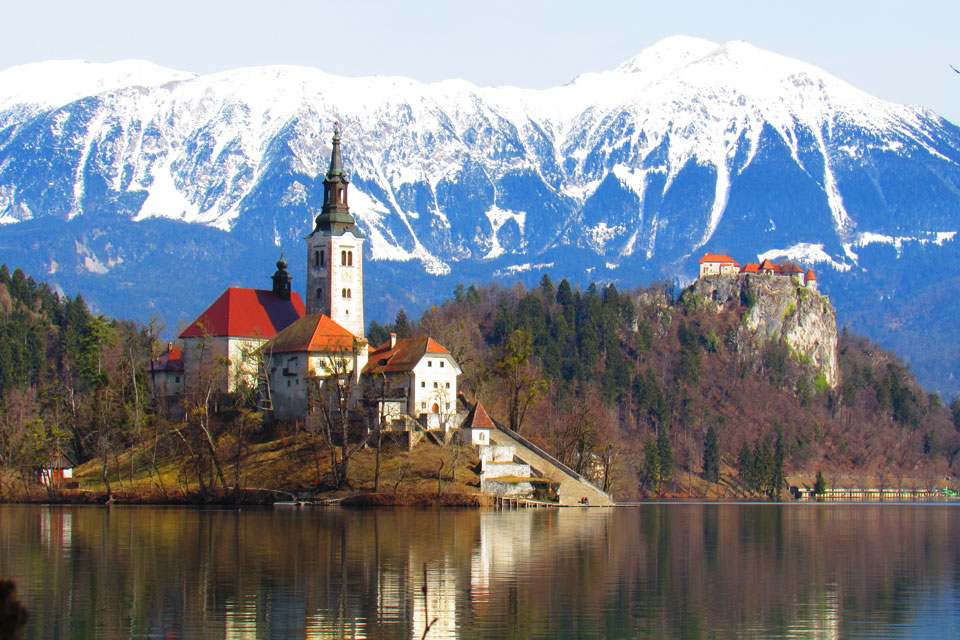 Landscape Winner Landscape Winner