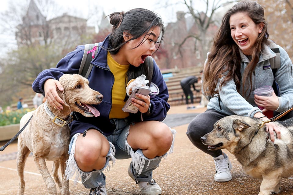 Students play with dogs Two female SLU students play with dogs outdoors